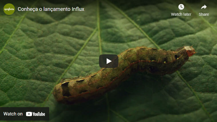 Video técnico do produto Conheça na íntegra sobre INFLUX